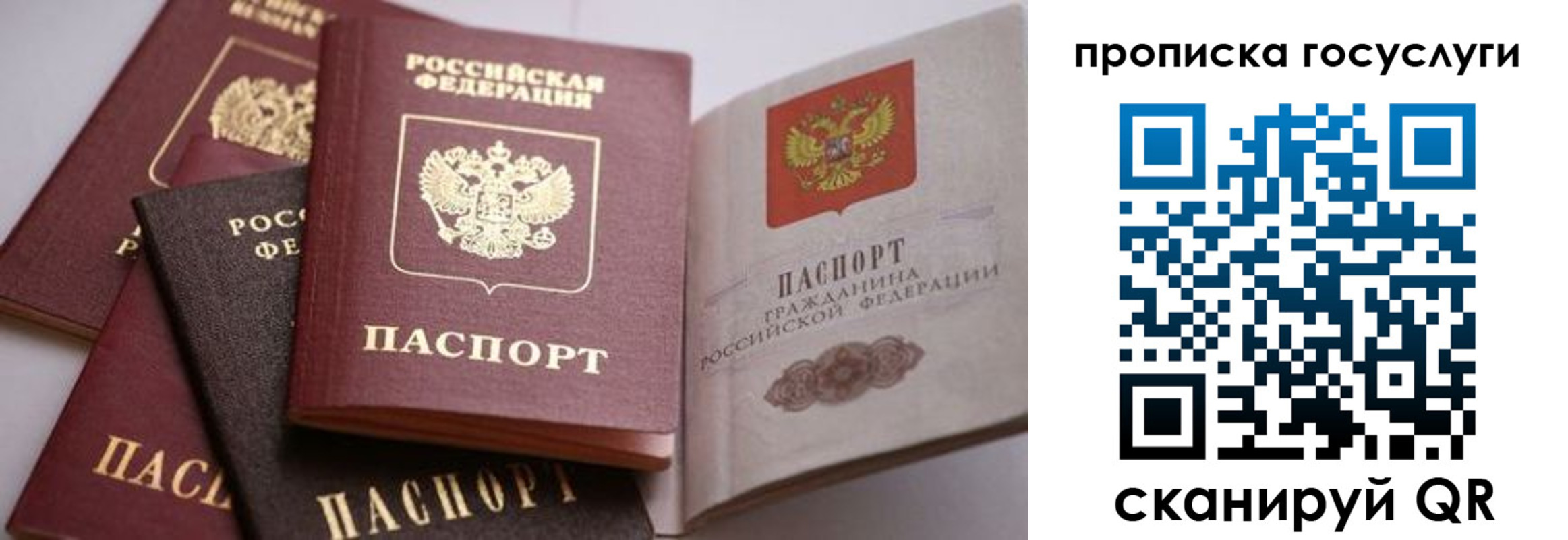 прописка иностранных граждан в Озёрске